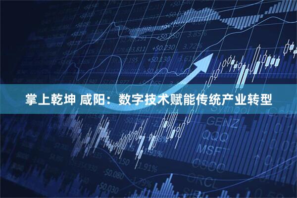 掌上乾坤 咸阳：数字技术赋能传统产业转型