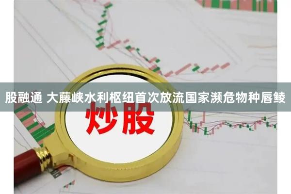 股融通 大藤峡水利枢纽首次放流国家濒危物种唇鲮