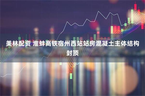 美林配资 淮蚌高铁宿州西站站房混凝土主体结构封顶