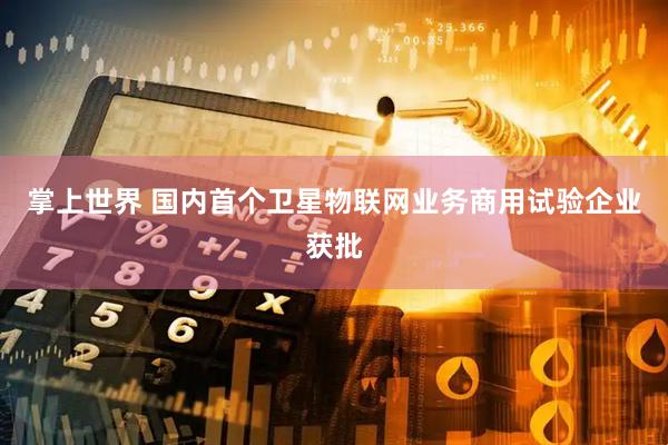 掌上世界 国内首个卫星物联网业务商用试验企业获批