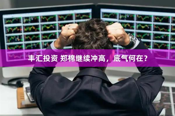 丰汇投资 郑棉继续冲高,底气何在?